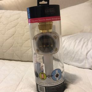 Carpool karaoke bluetooth mic